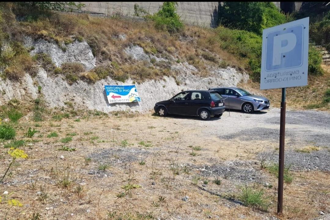 아제롤라 아그리투리스모 오리도 디 피노 빌라 외부 사진